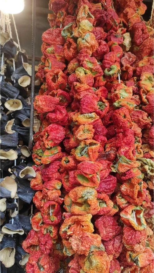 Antep Kuru Dolmalık Biber Acı 1 Ip (45-50 Adet)