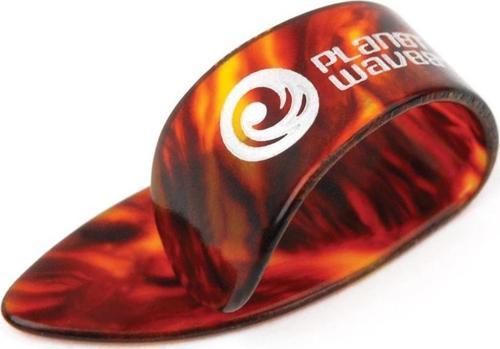 5CSH6-5 5 Thumb Pena Shell Large