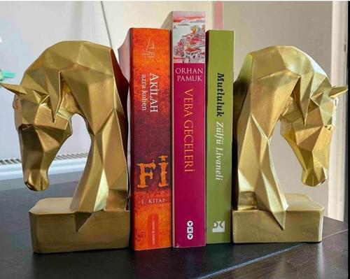 20 Cm 2 Adet Dekoratif Kübik Geometrik Tasarım At Kitap Tutucu Biblo