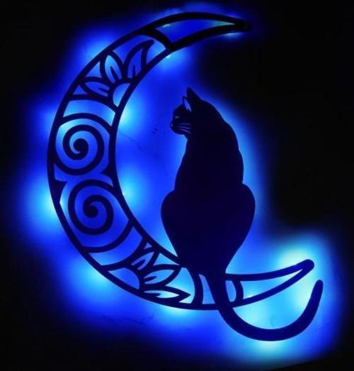 Aydaki Kedi Figürlü Tablo Duvar Dekorlu Gece Lambası 40 cm