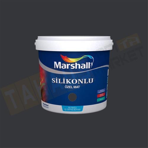 Özel Mat 2,5 lt Silinebilir Silikonlu Duvar Boyası
