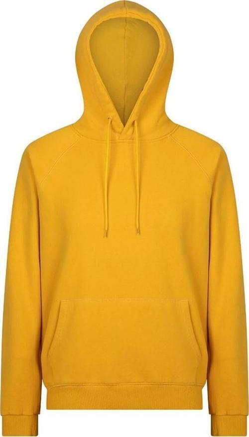 Kapüşonlu Erkek Basic Sweatshirt SPF101232316914