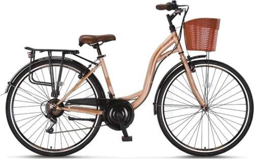 2810 28 Alanya Atb Bisiklet Kahve