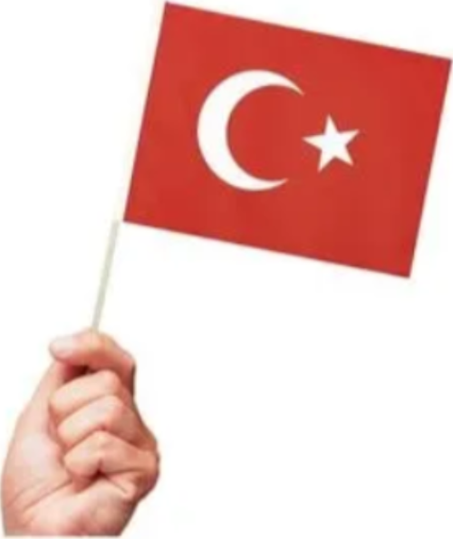 5 adet Sopalı Kağıt Büyük Türk Bayrağı 38x29cm