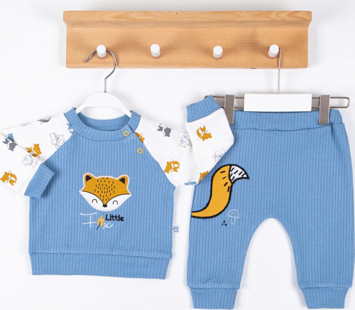 3-12 Ay Erkek Bebek Takımı Littie Fox Nakışlı 2'li Mavi
