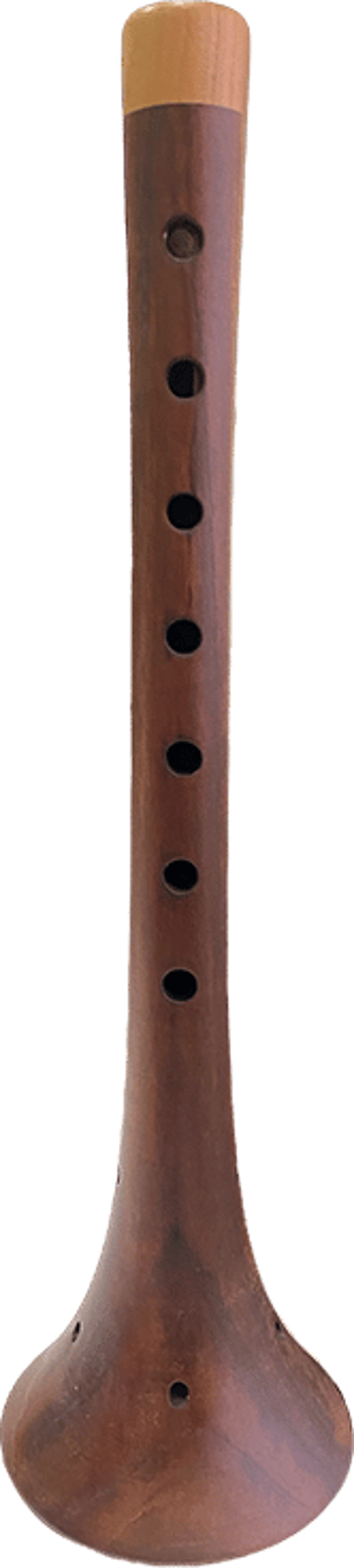 RENKLENDİRİLMİŞ ZURNA ORTA BOY 29.5 CM - Sİ + BORU + HALKA + 3 ADET YEDEK KAMIŞ