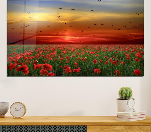 Doğa Pleksi Cam Tablo Gelincik Bahçesi