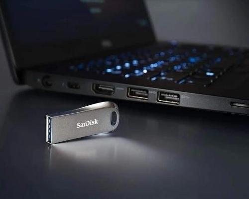 Ultra Luxe USB 3.1 Gen 1 Flash Bellek 256 GB