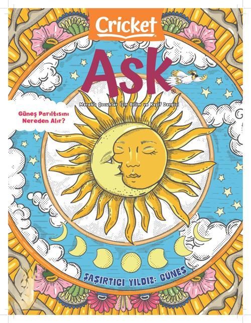 CRICKET ASK Yılda 5 Sayı
