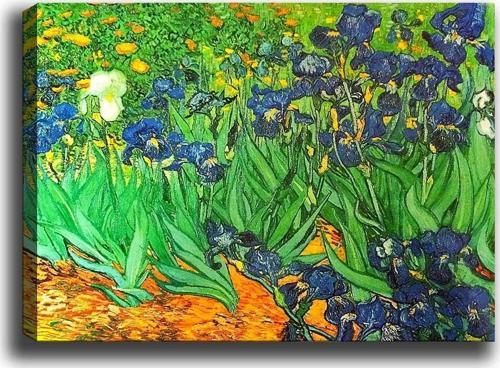 Kanvas Tablo Van Gogh