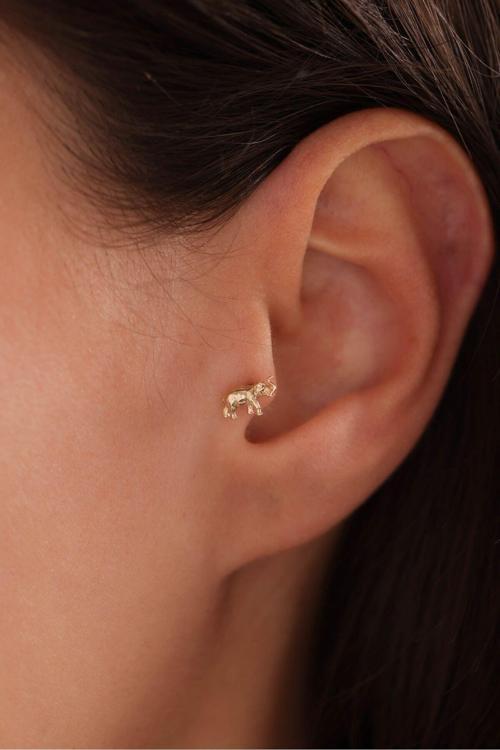 Fil Tragus Küpe