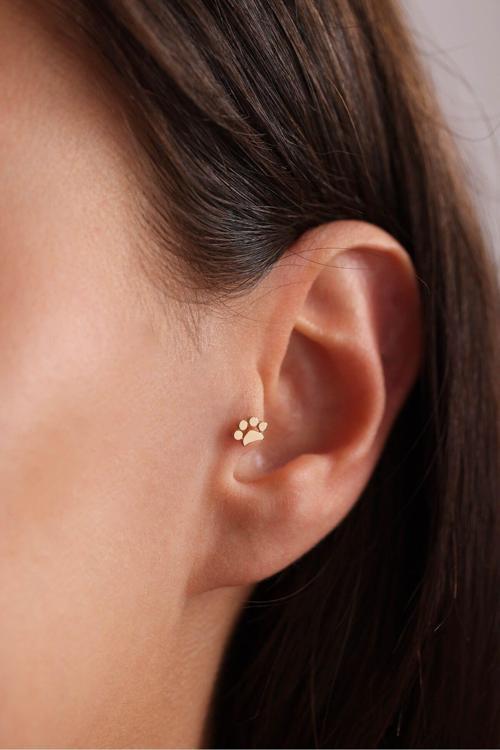 Kedi Köpek Pati Tragus Küpe