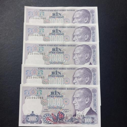 Escoines Koleksiyon 36714040652c96 7.Emisyon 1.Tertip 1000Türk Lira Seri takipli ÇİL eski kağıt para