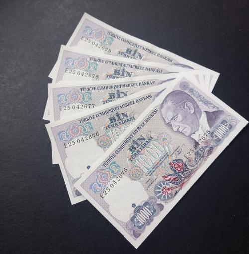 Escoines Koleksiyon 399636712dc2547290 7.Emisyon 1Tertip 1000Türk Lirası Seri takipli ÇİL kağıt para