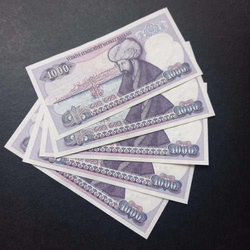 Escoines Koleksiyon 399636714032b70609 7.Emisyon 1.Tertip 1000Türk Lira E25 Serisi Seri takipli ÇİL