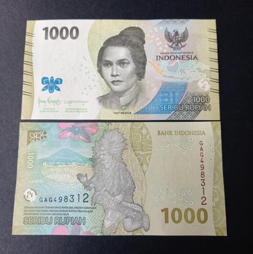 Escoines Koleksiyon 3996367df653cd4527 2022 Endonezya 1000 Rupiah ÇİL eski yabancı kağıt para