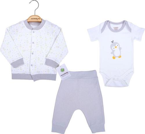 Baby Penguen Desen 3lü Takım 4619 Gri