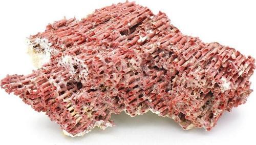 Hakiki Doğal Kırmızı Mercan Kaya Parçası 96 Gram