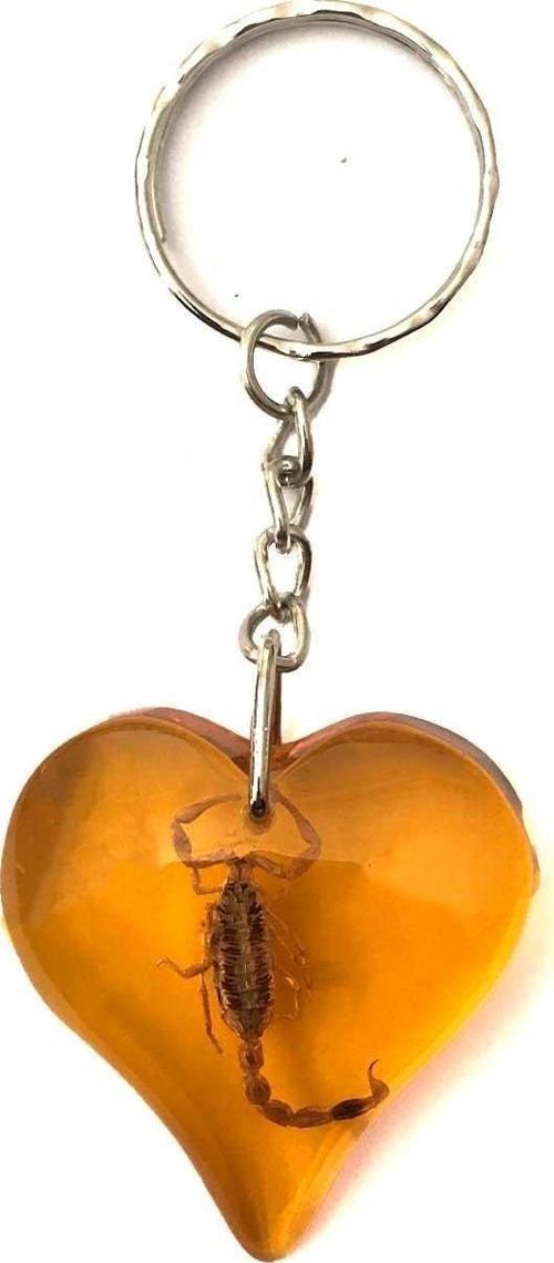 Kalp Model Akrep Fosilli Anahtarlık