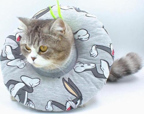 Kedi Köpek Yakalık Gri Small No:5
