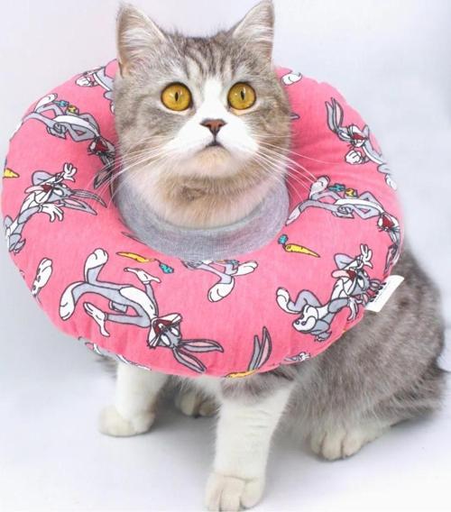 Kedi Köpek Yakalık Pembe Medium No:6
