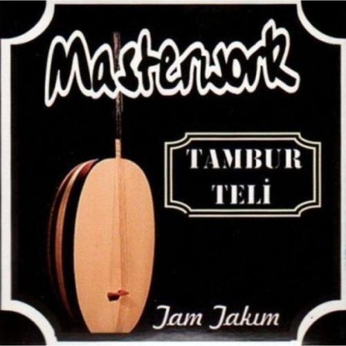 TT01 Tambur Teli