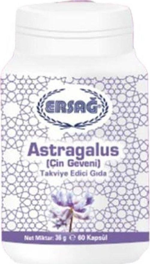 Astragalus (Çin Geveni)