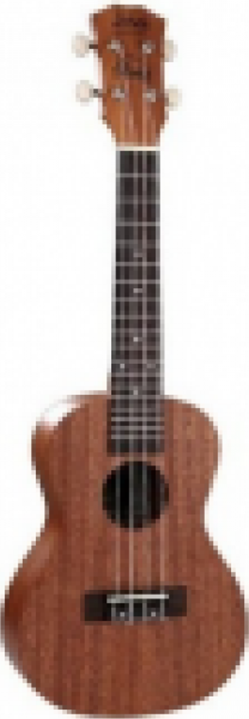 S-10 Soprano Ukulele (Taşıma Çantası Hediyeli)