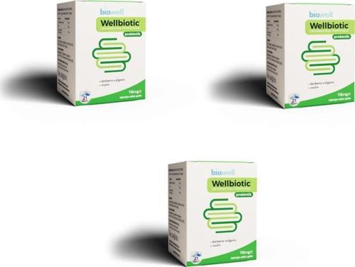 Wellbiotic Probiotic 21 Kapsül 3 Adet