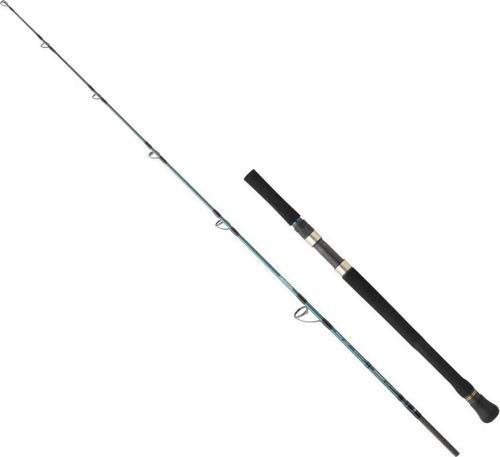 Grandwave 168 cm 60-120 gr Jig Kamış