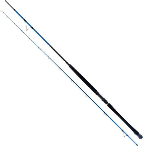 Shore Game Fuji 285 cm 25-85 gr Shore Jig Kamış