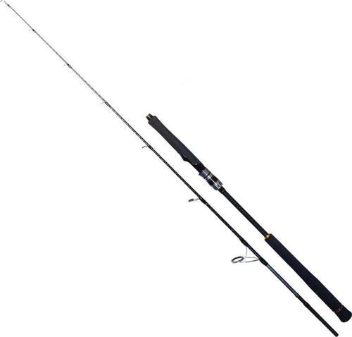 Seawolf 198 cm 30-150 gr Jig Kamış