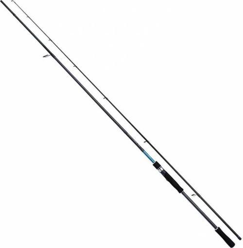 Bassterra XT 289 cm 15-65 gr Spin Kamış