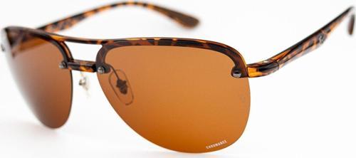 RB 4293-CH 894/A2 63-15 Polarize Unisex Güneş Gözlüğü