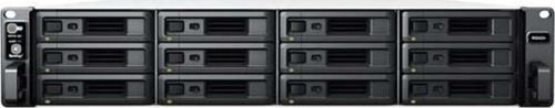 Rs2423 Plus Ryzen V1780B-8 Gb Ddr4 Ecc Udımm-12-Diskli Rack Nas Sunucu (Disksiz)