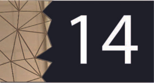 Dekoratif Aynalı Modern Kapı Numarası - Gold 14