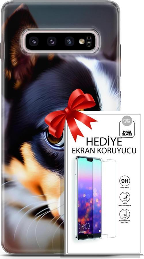 Samsung Galaxy S10 Plus Kılıf Orijinal Seri Dogs 11 İsviçre Bernese 4K Baskılı Kılıf + Ekran Koruyucu