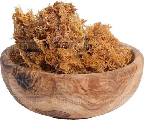Deniz Kadayıfı 50 Gr