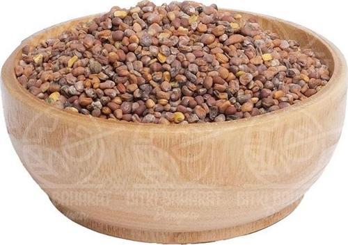 Marul Tohumu 100 Gr