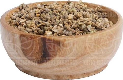 Ispanak Tohumu 100 Gr