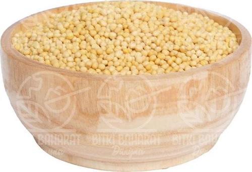 Hardal Tohumu Sarı 100 Gr