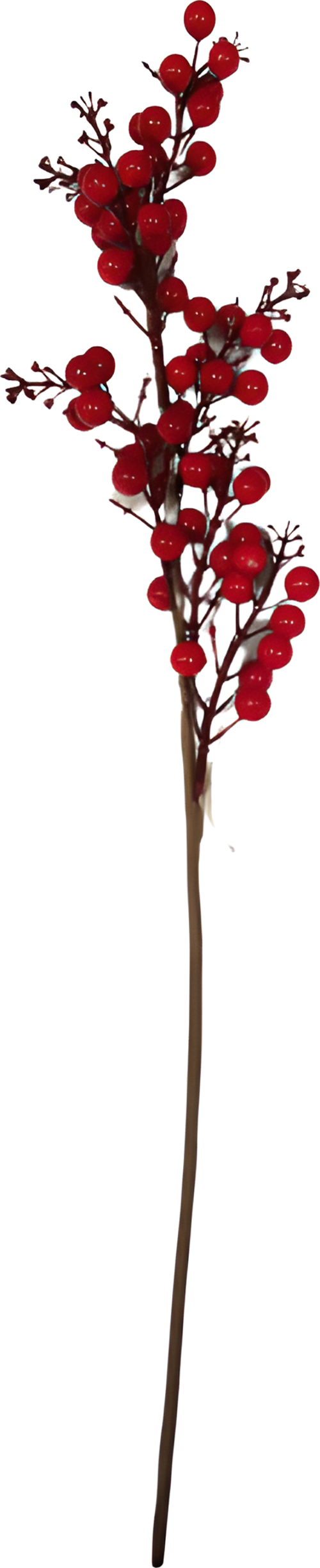 YILBAŞI DAL KOKİNA 64 CM