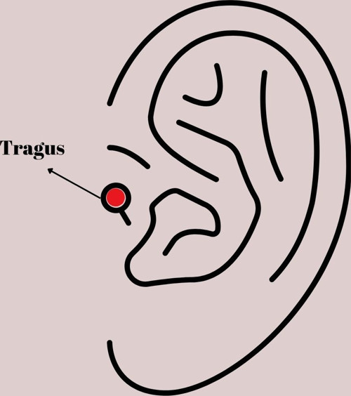 Zarif Kadın için Golden Çelik Zirkonlu Çiçek Tragus Piercing