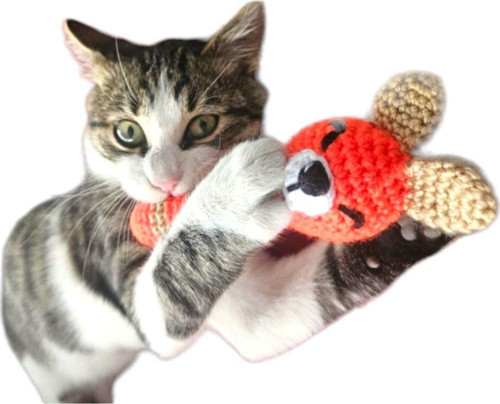 Be Cat Catnipli Sesli Kedi Köpek Diş Kaşıma & Isırma Oyuncağı