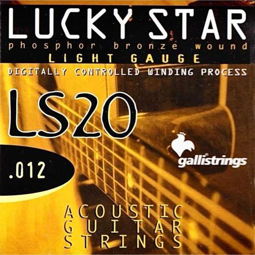 Lucky Star Ls-20 Akustik Gitar Teli
