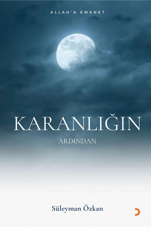 Cinius Yayınevi Karanlığın Ardından & Süleyman Özkan