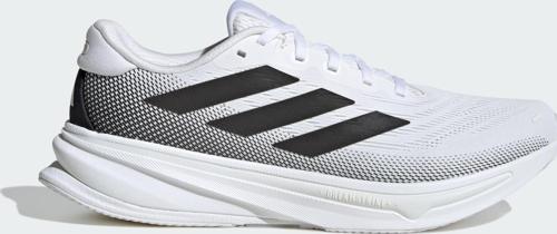 SUPERNOVA RISE 2 M