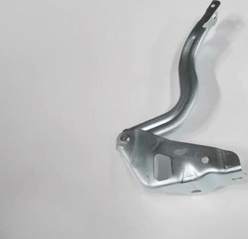 Hyundaı Accent- Blue- 11/18; Kaput Menteşesi Sağ (Eagle Body) (Oem No: 79120-0U000)
