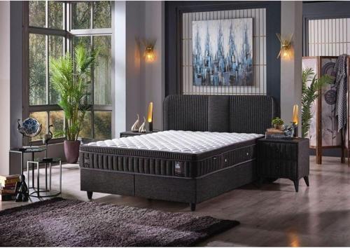 Floransa Torba Yaylı Kendinden Pedli 4 Mevsim Omurga Destek Süngerli Yatak+Baza+Baza Başlığı