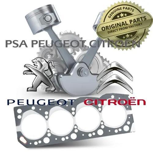 Fiat Doblo V 2022- Kapı Fitili Sağ  (Oem No:9855554380)